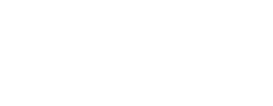 Логотип компании-клиента 4